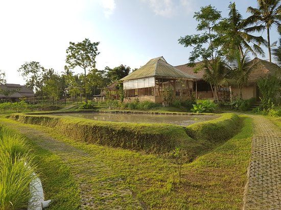 Visesa Balinese Healing & Spa